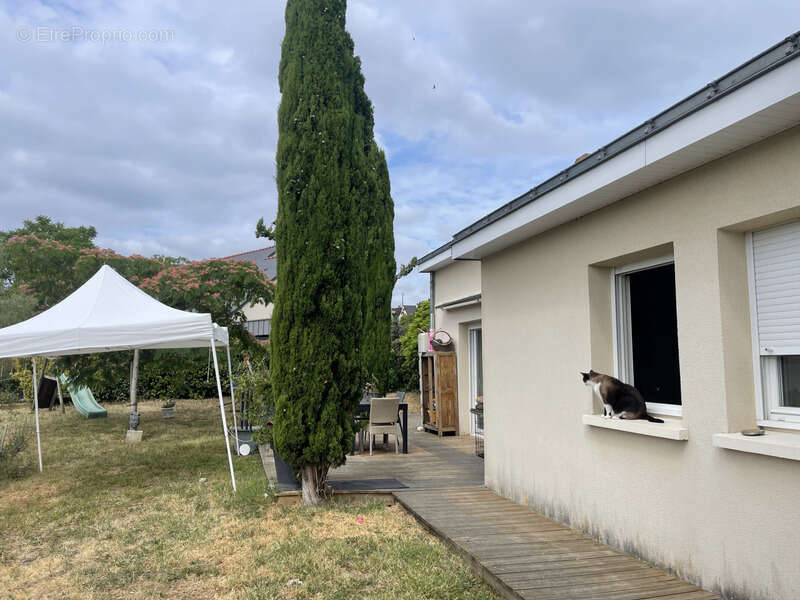 St hilaire st florent maison 3 chambres de plain pied sur parcelle de 848m2 de terrain arbore clos - photo 18