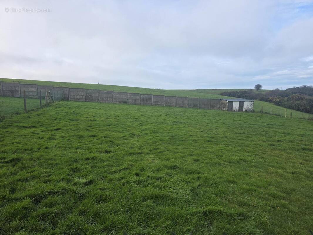 Photo 1 - Terrain à FECAMP