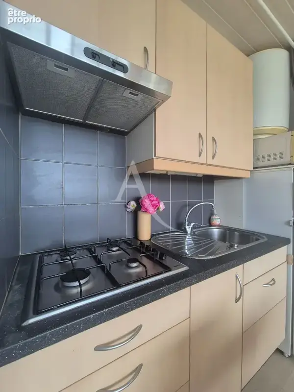Appartement Balaruc-les-bains 1 pièce(s) 21 m²+ parking+ cave - photo 3