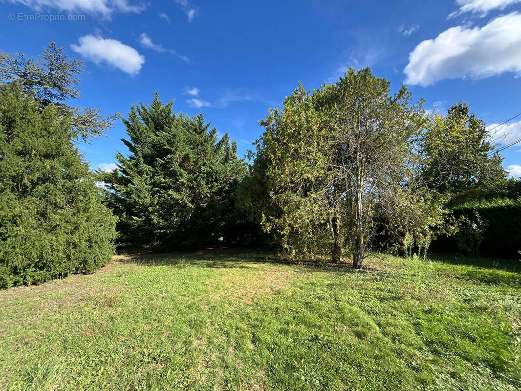 Terrain à BOUGIVAL