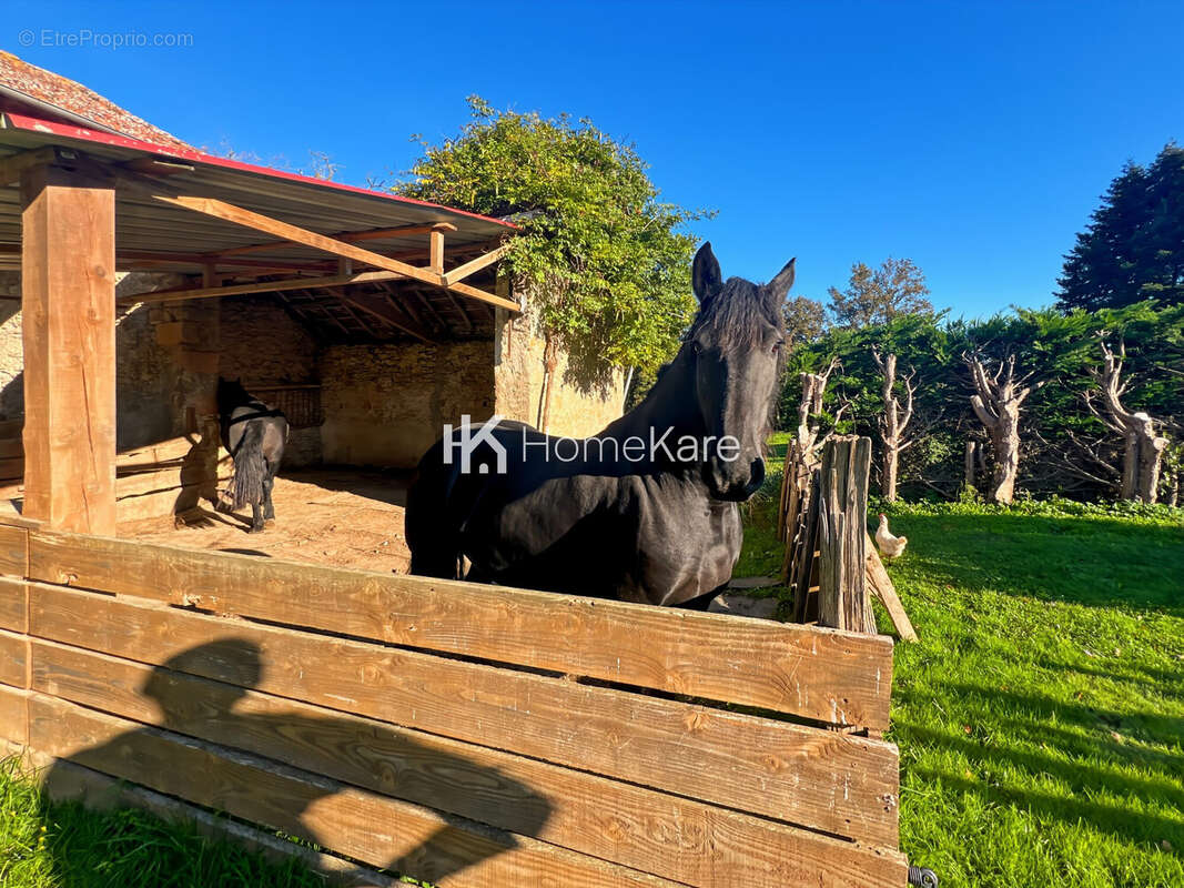 Maison à SAINT-GAUDENS