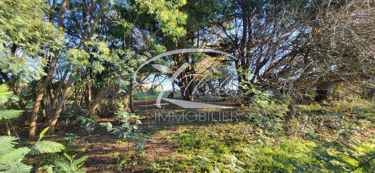 Maison à SAINT-TROJAN