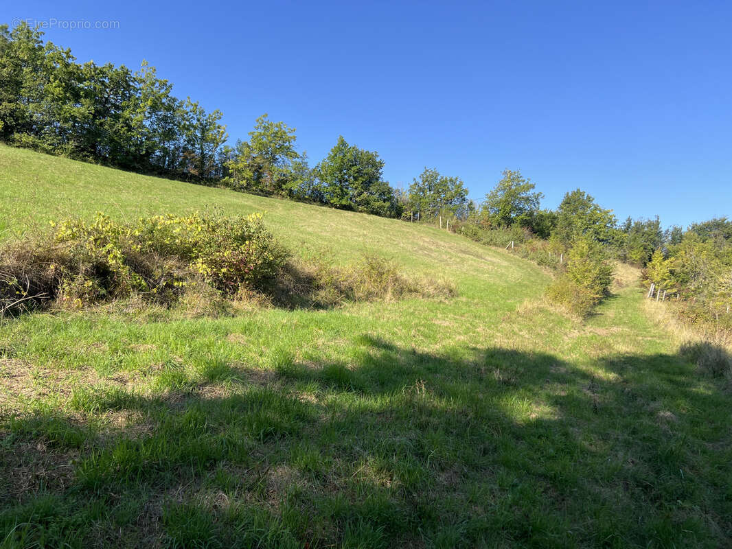 Terrain à MOISSAC