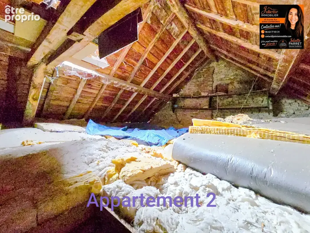 Maison composee de 2 appartements avec dependances - photo 18