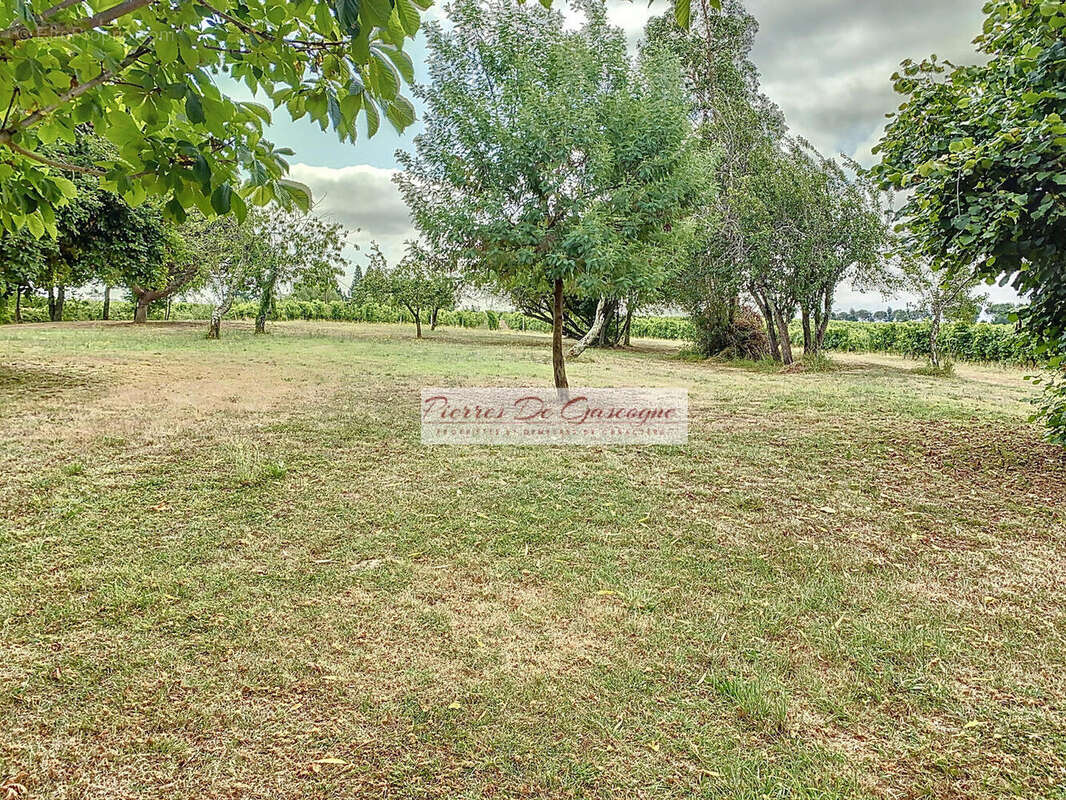 Maison de campagne entièrement meublée et équipée - Région  Vic-Fezensac - photo 14