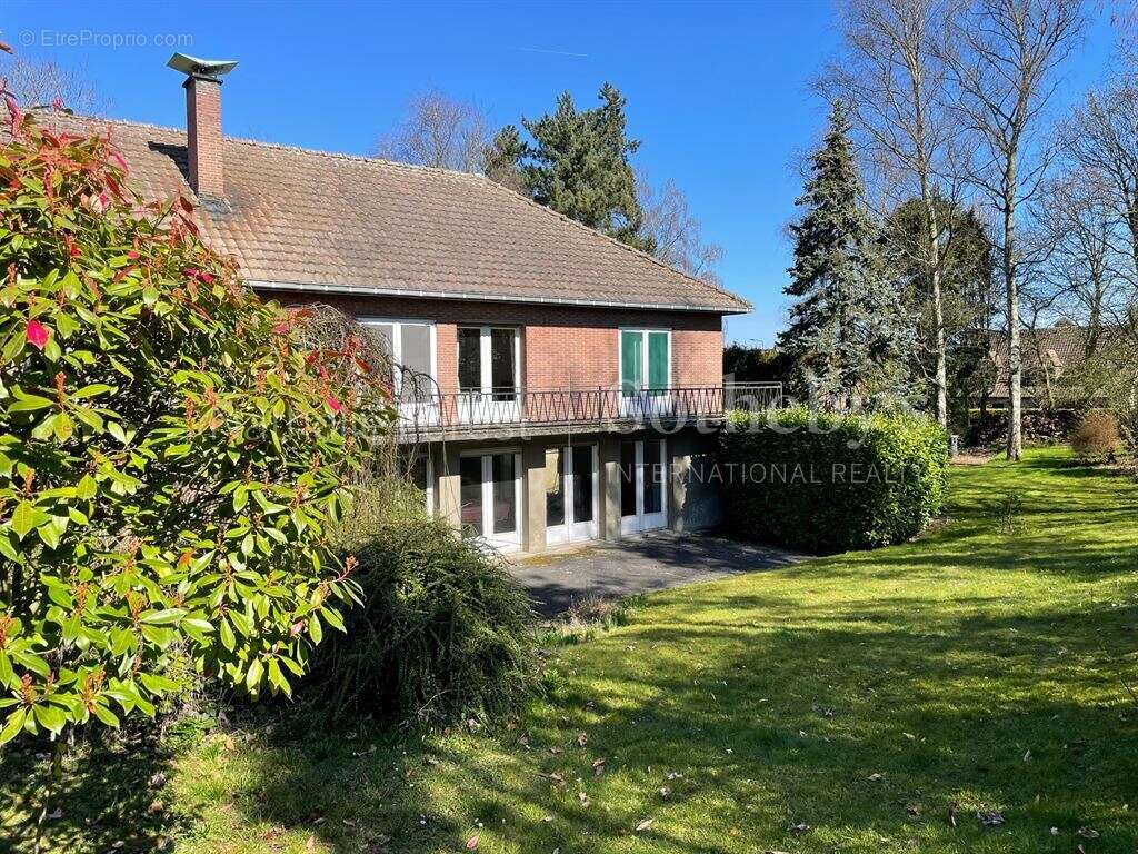 Maison à WERVICQ-SUD