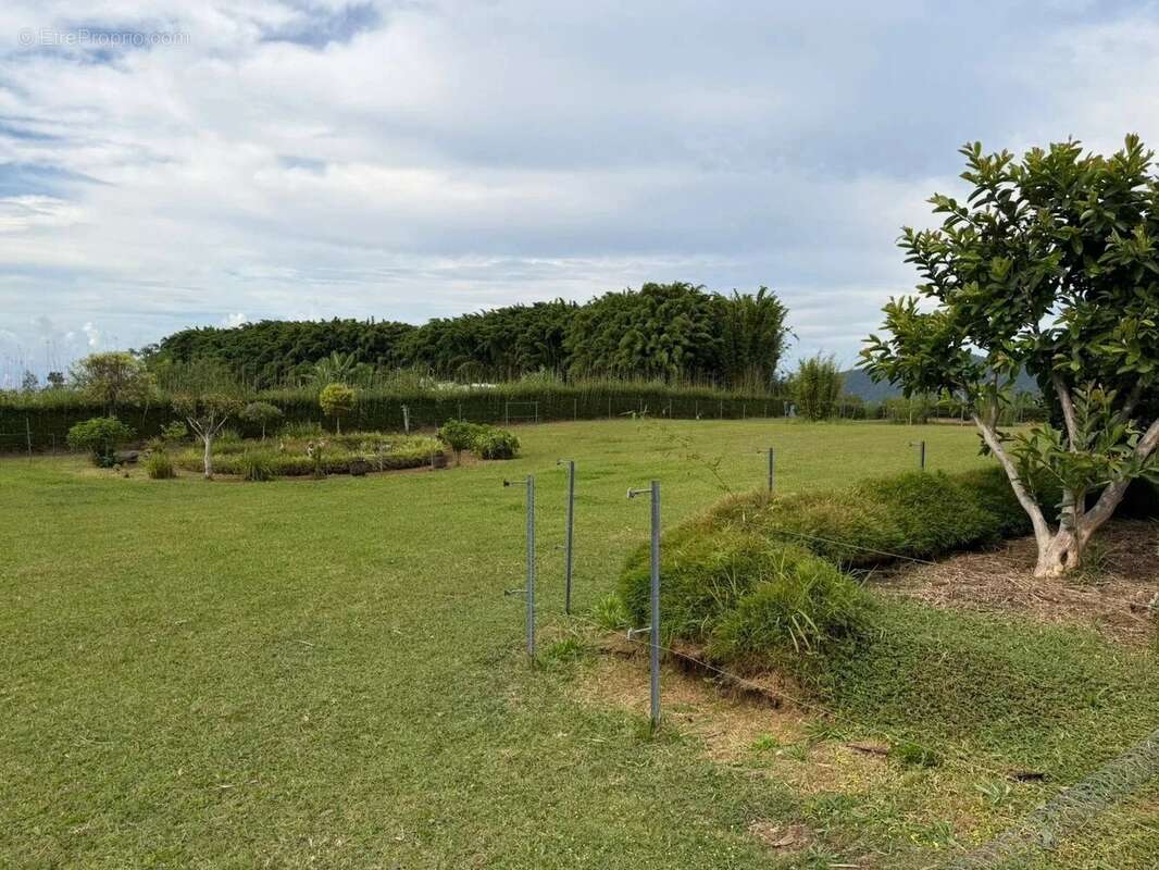 Maison à SAINT-JOSEPH