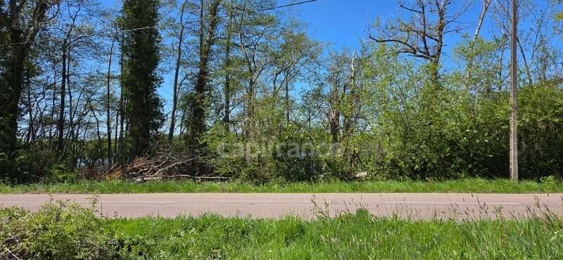 Terrain à SAINT-EMILAND