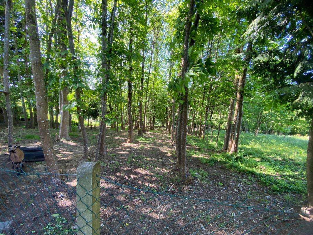À VENDRE – Maison familiale avec vue dégagée à Lalacelle - photo 12