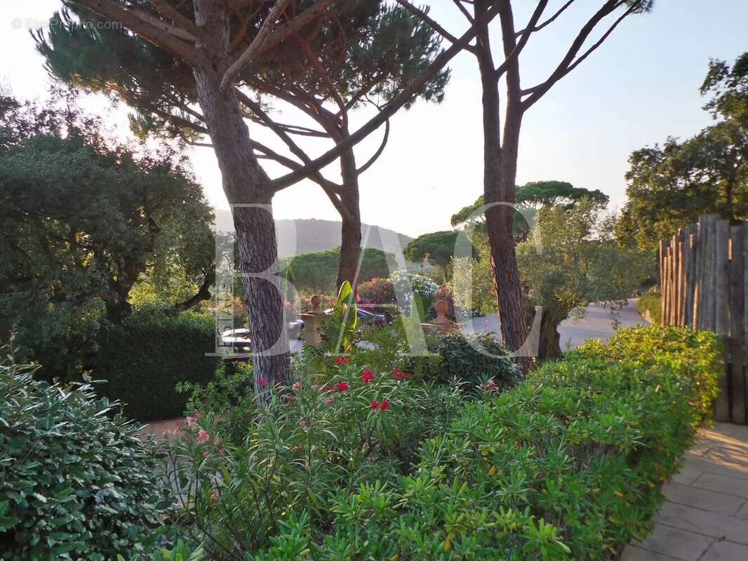 Maison à RAMATUELLE