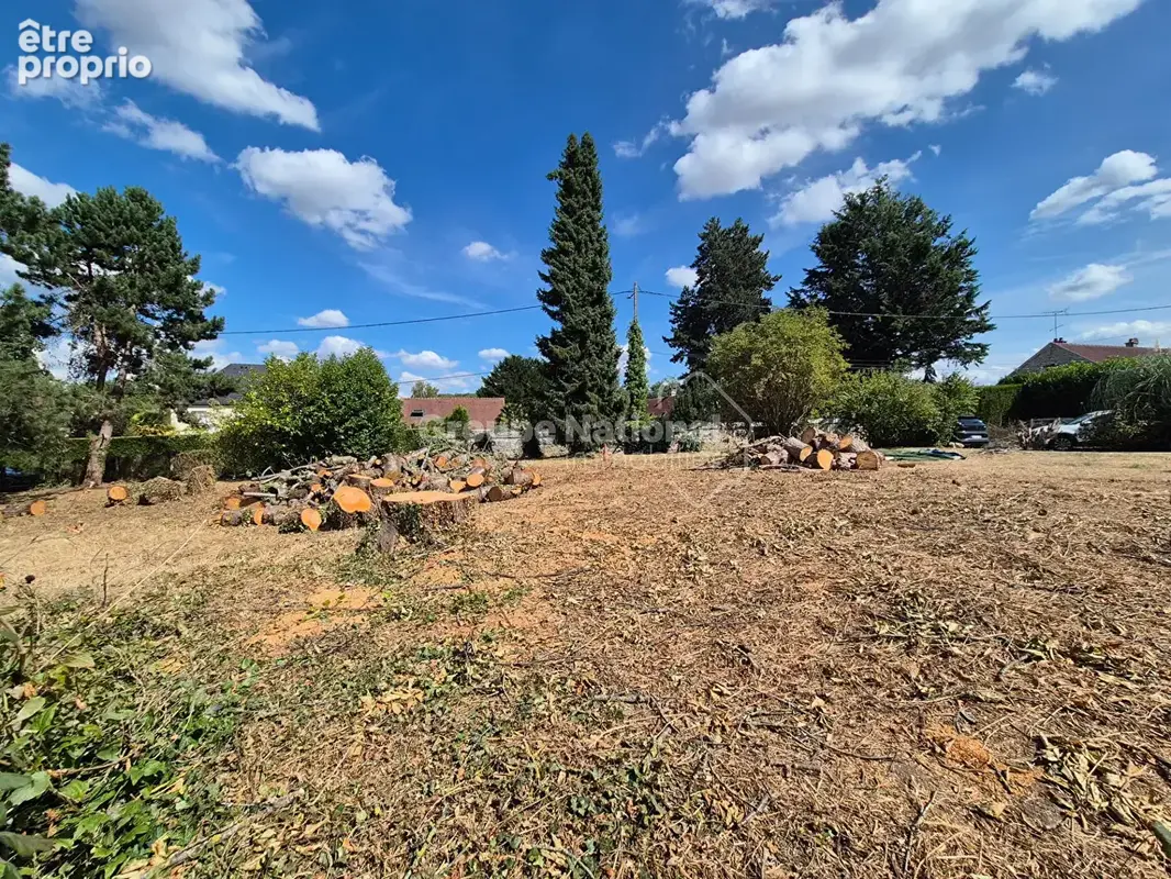 Noailles - terrain -  681 m2 -  facade 60 m - photo 4