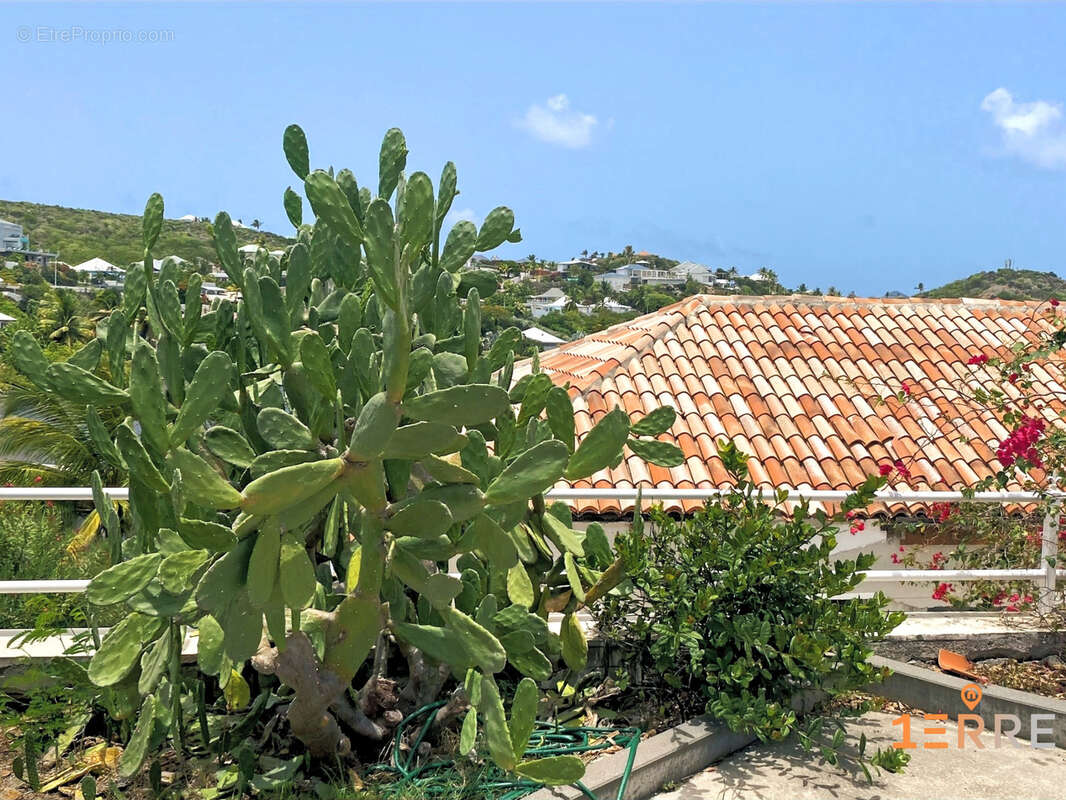 Maison à SAINT-MARTIN