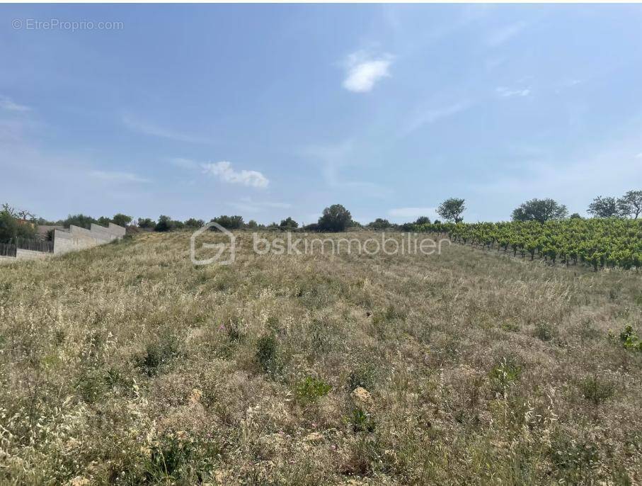 Terrain à PORTEL-DES-CORBIERES