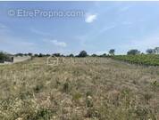 Terrain à PORTEL-DES-CORBIERES