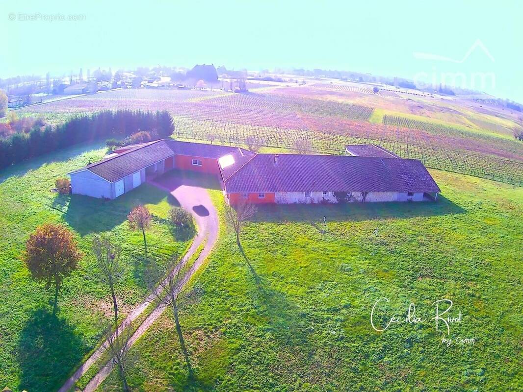 Maison à SAINT-CHRISTOLY-DE-BLAYE