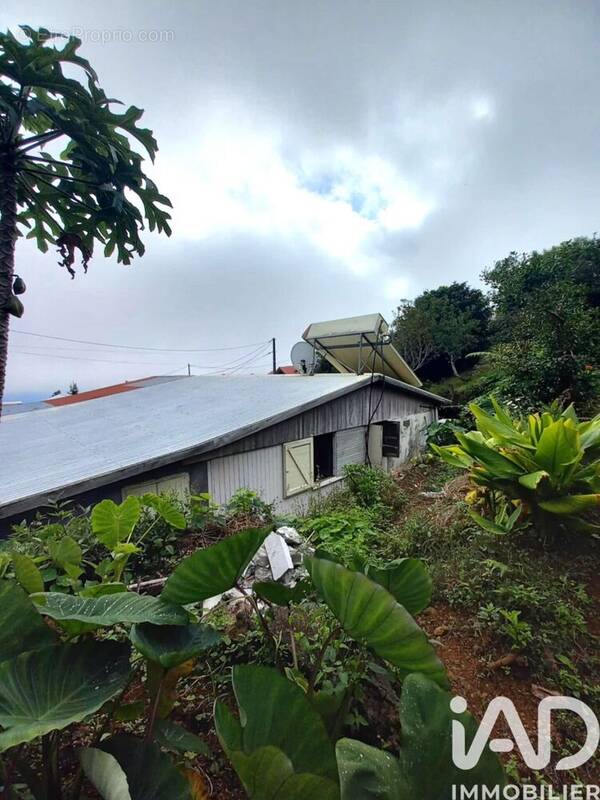 Photo 1 - Maison à LE TAMPON