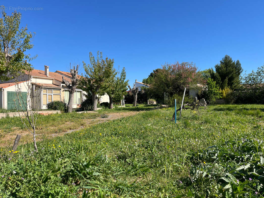 Maison à MARSEILLAN