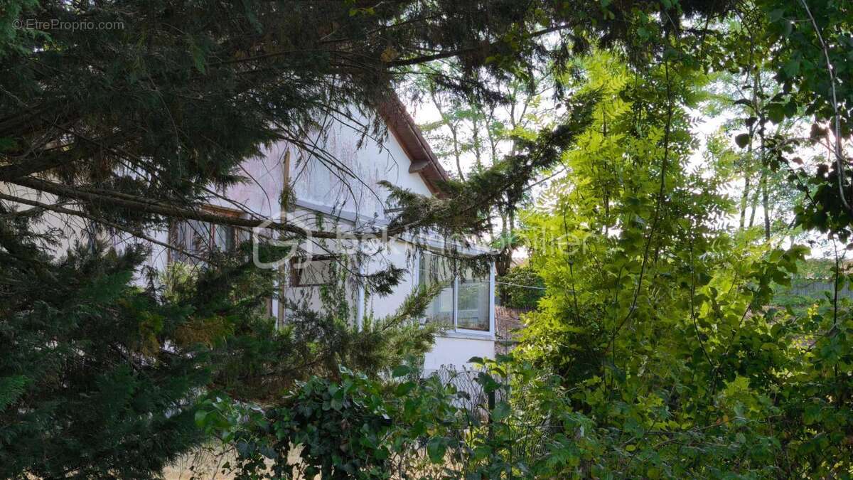 Maison à COULLONS