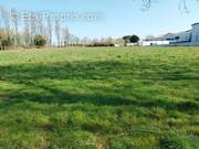 Terrain à LA MOTHE-ACHARD