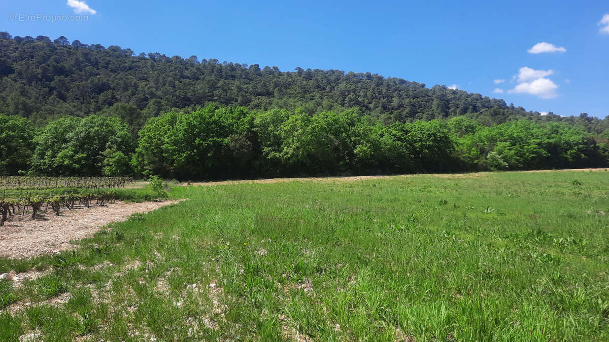 Terrain à CANNES-ET-CLAIRAN