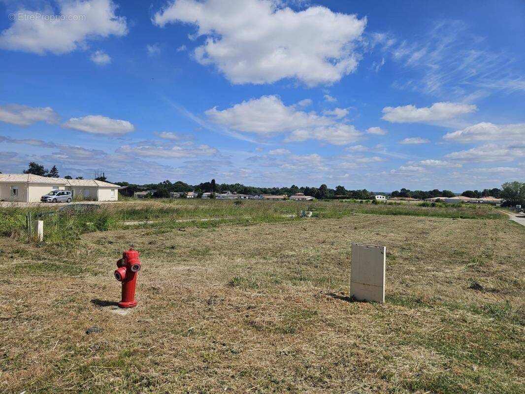 Terrain à CHANIERS
