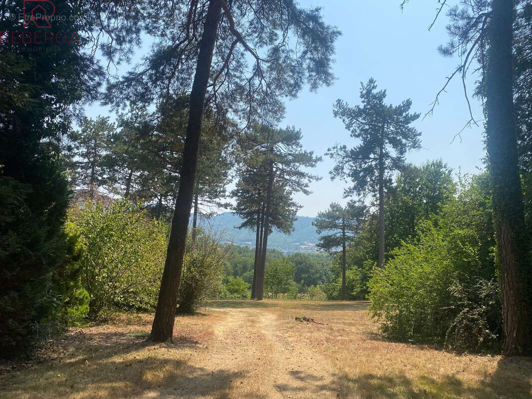 Maison 218 m² à Pont-De-Larn  - photo 24