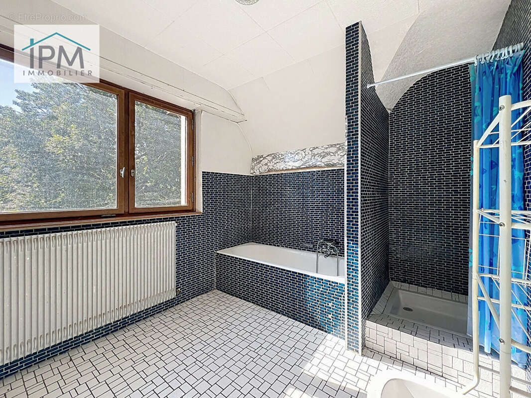OBERNAI À VENDRE - Maison individuelle de 262 m² habitables sur terrain de 13,37 ares - photo 9