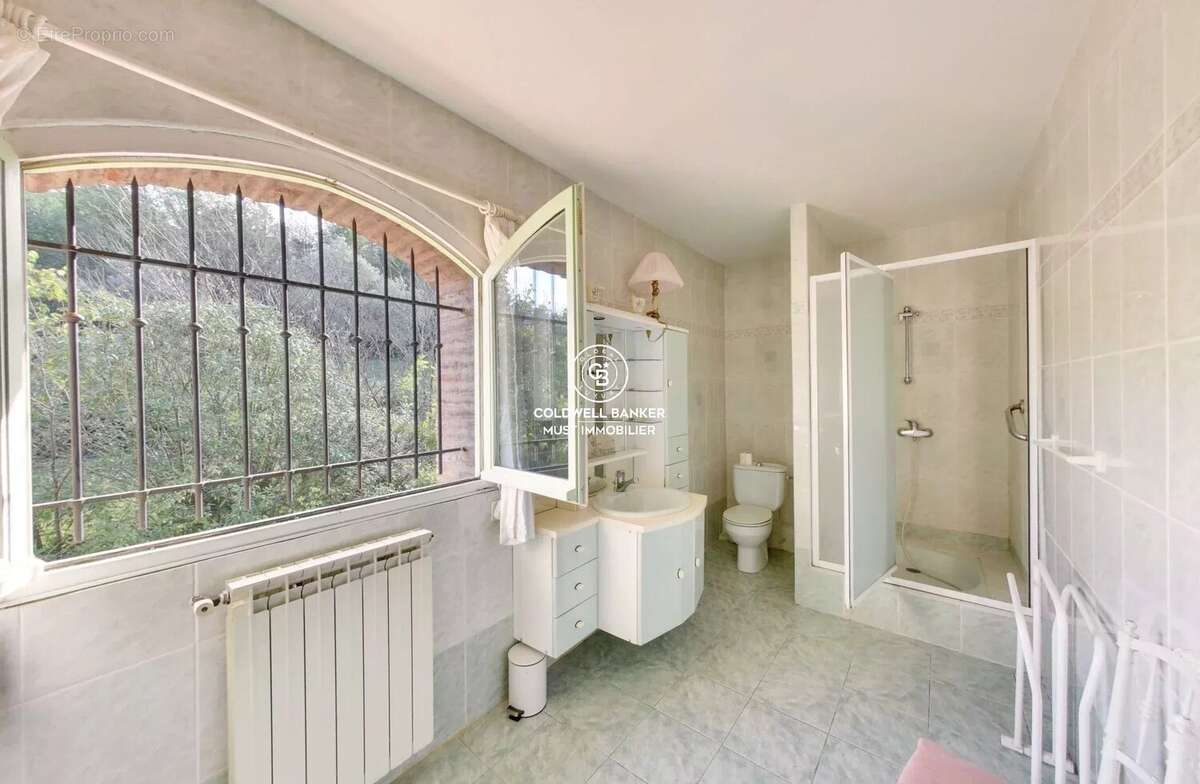 MAS de 295m2 Céret  vue Canigou sur près de 4 Ha - photo 32