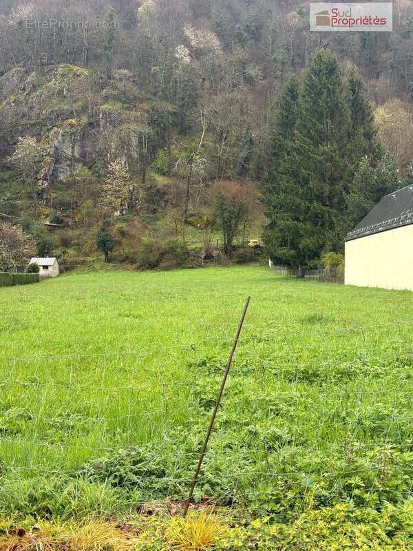 Terrain à SAINT-MAMET