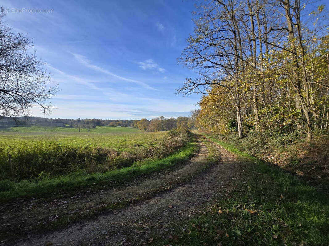 Terrain à VILLAMBLARD