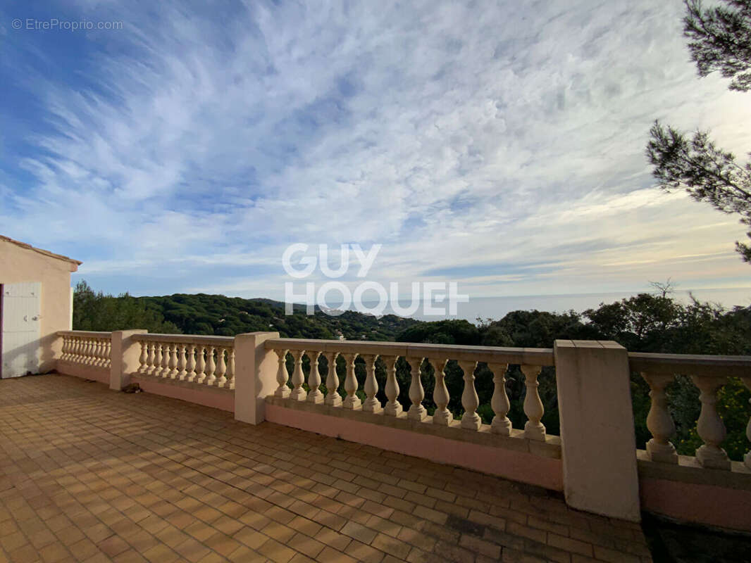 Villa à vendre à Ramatuelle - Référence 1536 - photo 3