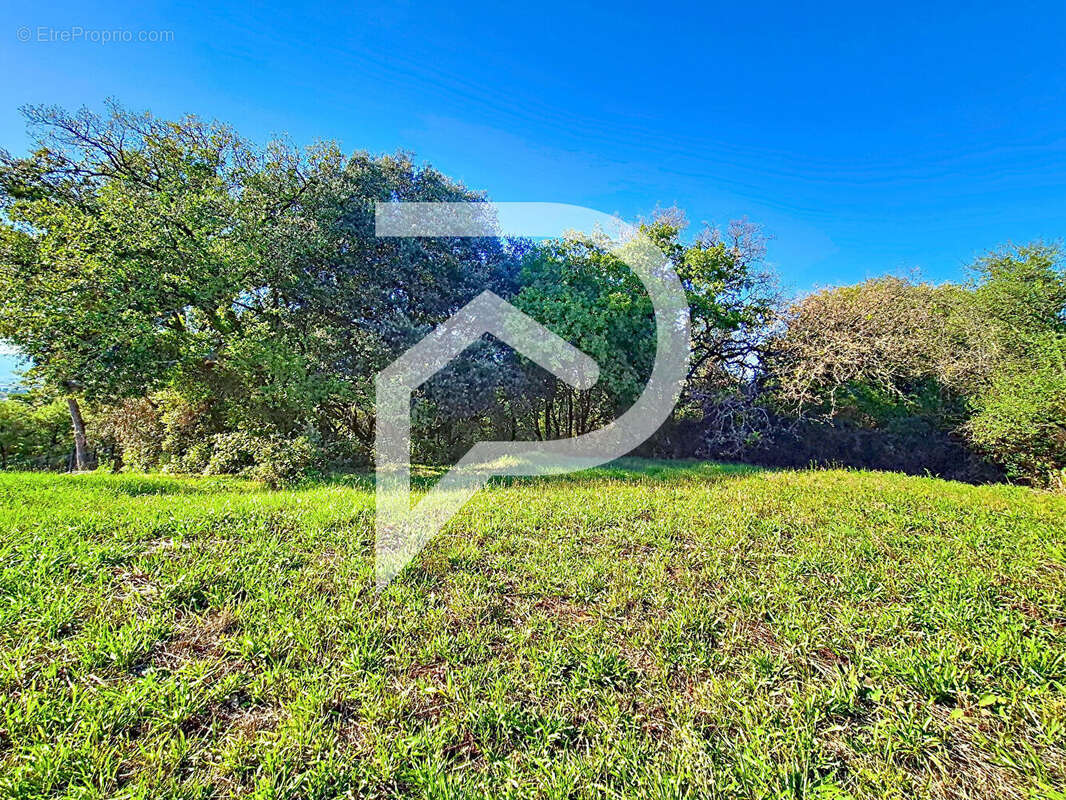 Terrain à MONTELIMAR