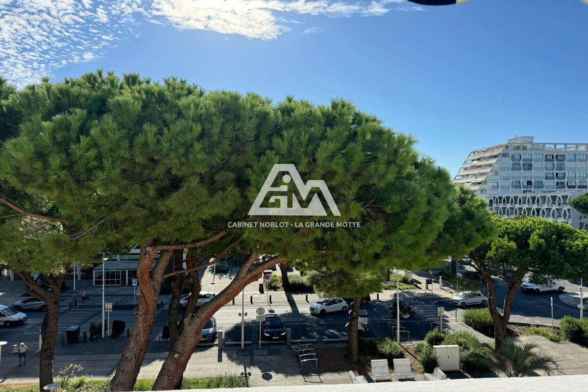 Appartement à LA GRANDE-MOTTE