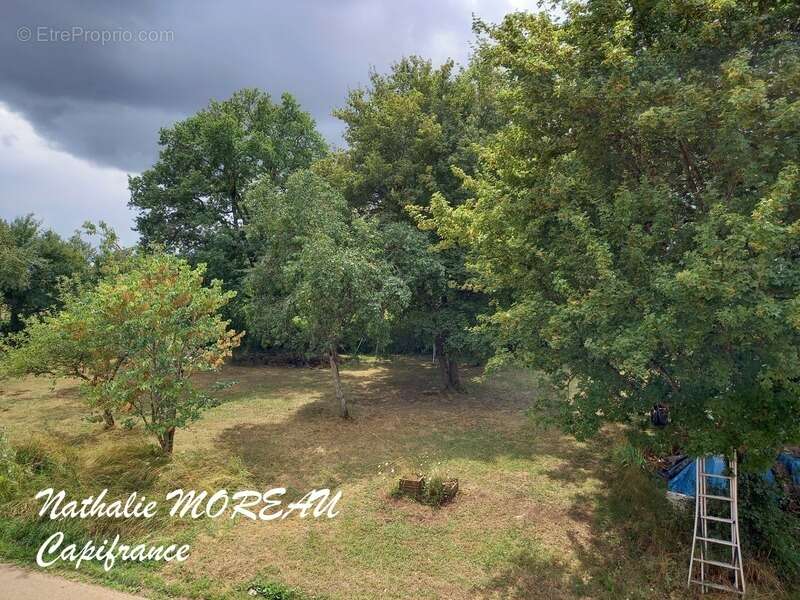 Fermette a vendre sur la commune de DIANCEY - Idéal gite, chambre d'hôtes, maison familiale - photo 41