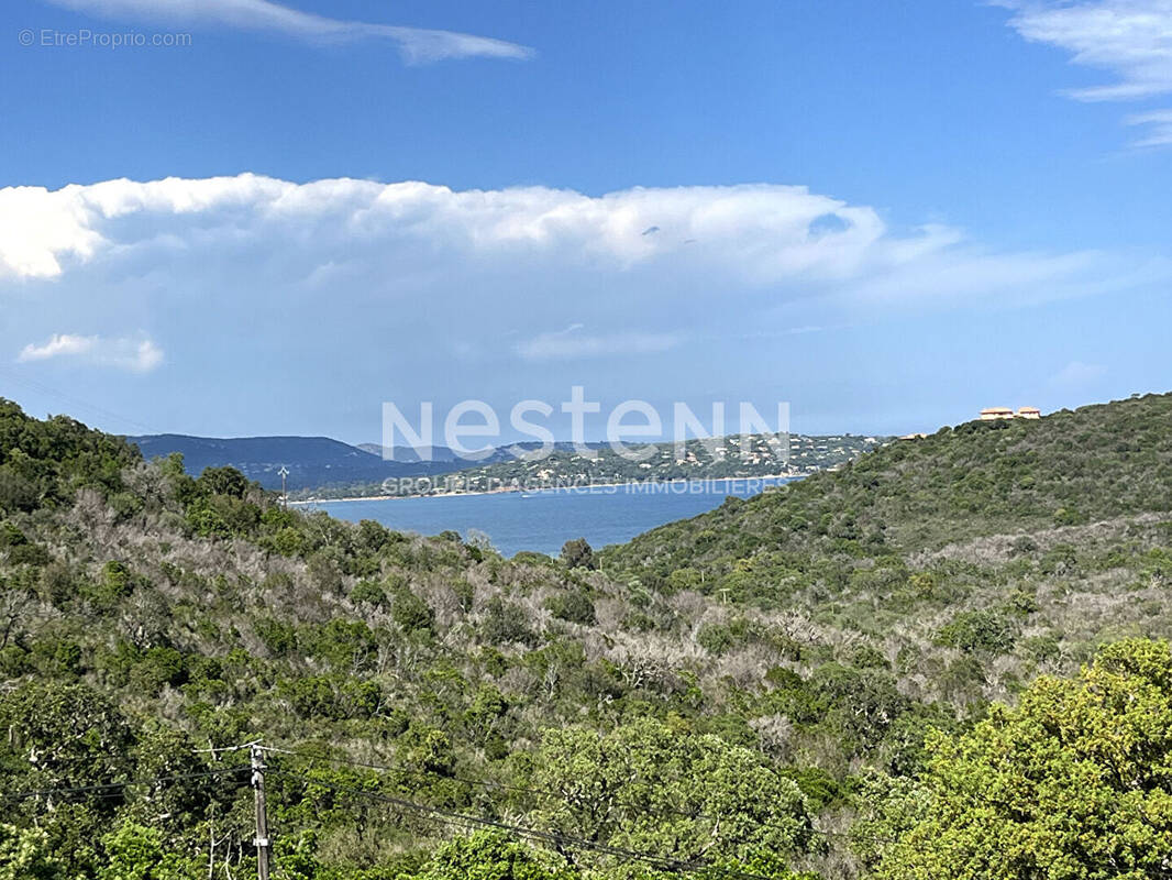 Terrain à PORTO-VECCHIO