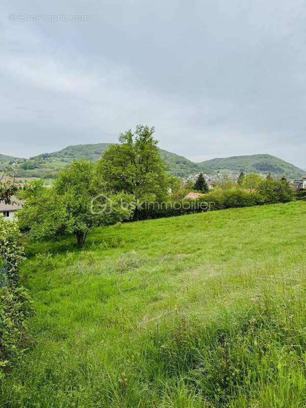 Terrain à VILLY-LE-PELLOUX