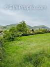 Terrain à VILLY-LE-PELLOUX