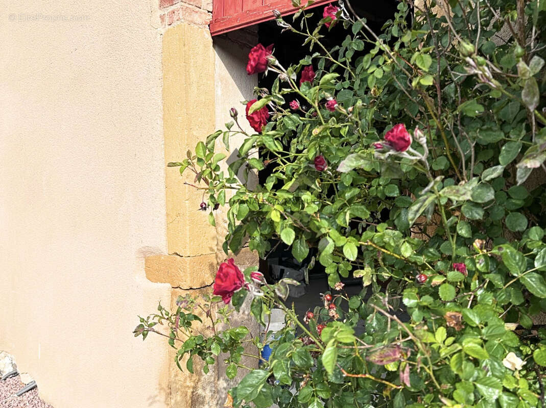 Maison à PRADINES