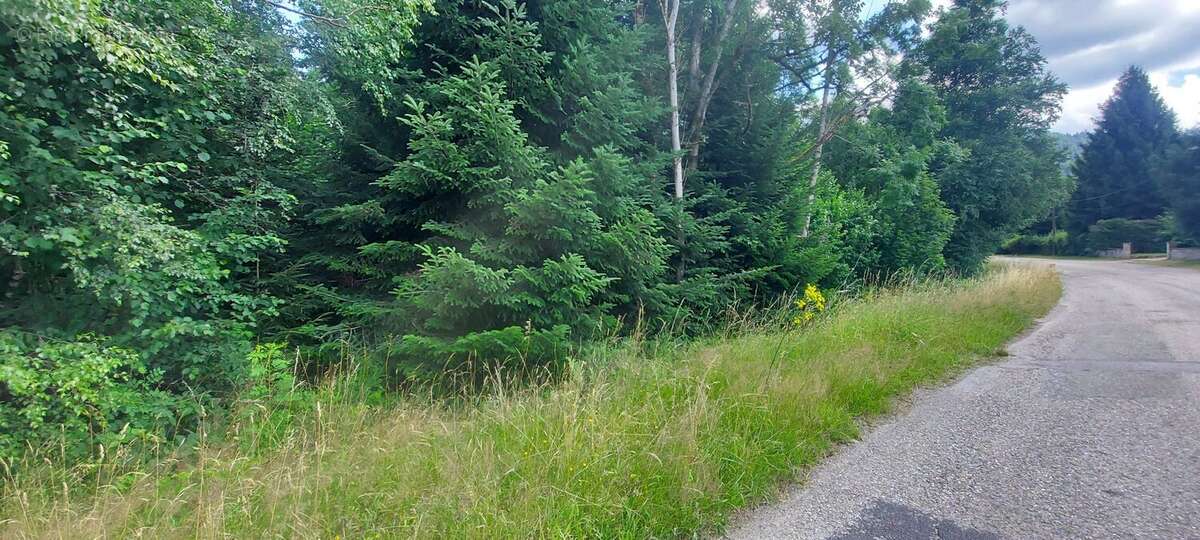 Terrain à GERARDMER