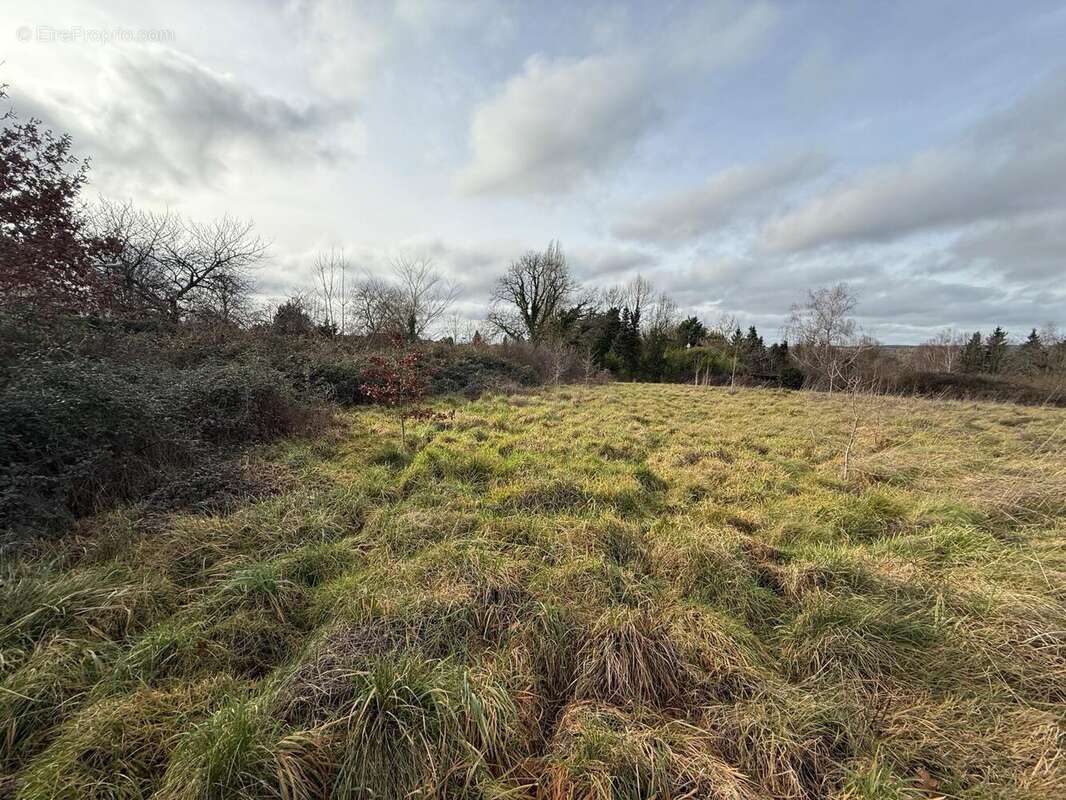 Photo 2 - Terrain à SAILLAT-SUR-VIENNE