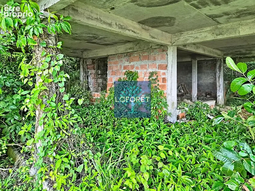 A vendre : Terrain avec vue mer sur les hauteurs de Fort-de-France - photo 5