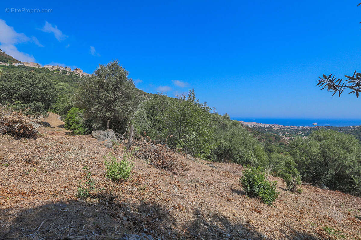 Terrain constructible 4000 m2 vue mer et montagnes - photo 2