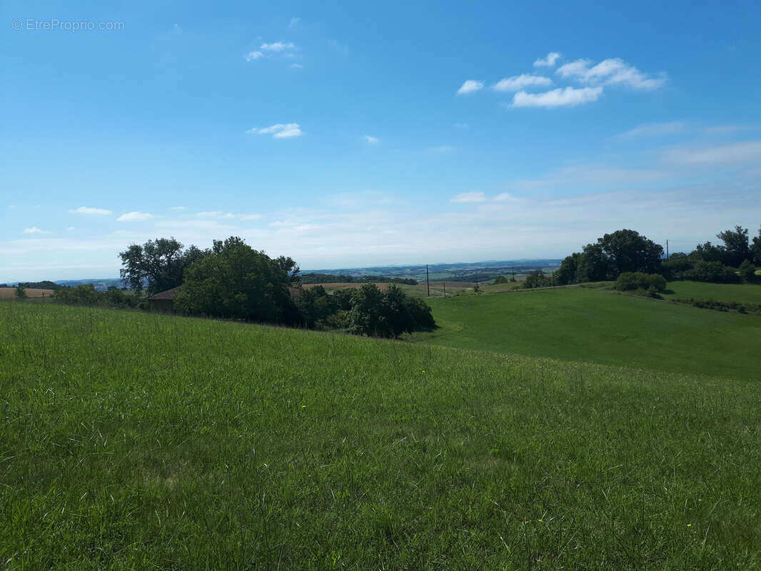 Maison à SAUVETERRE