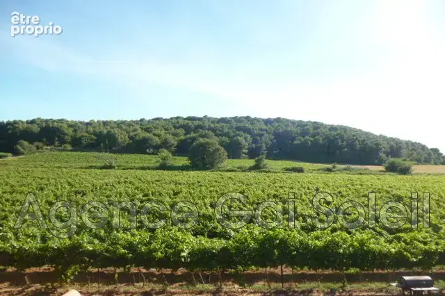 Maison 500 m² à Cazouls-Les-Beziers  - photo 6