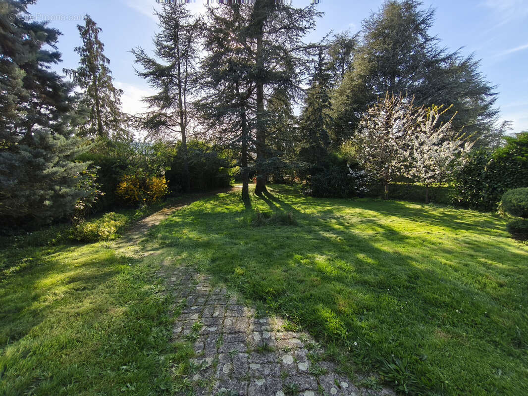 Saint-priest-en-jarez, maison 160 m2 6p+c. - photo 14