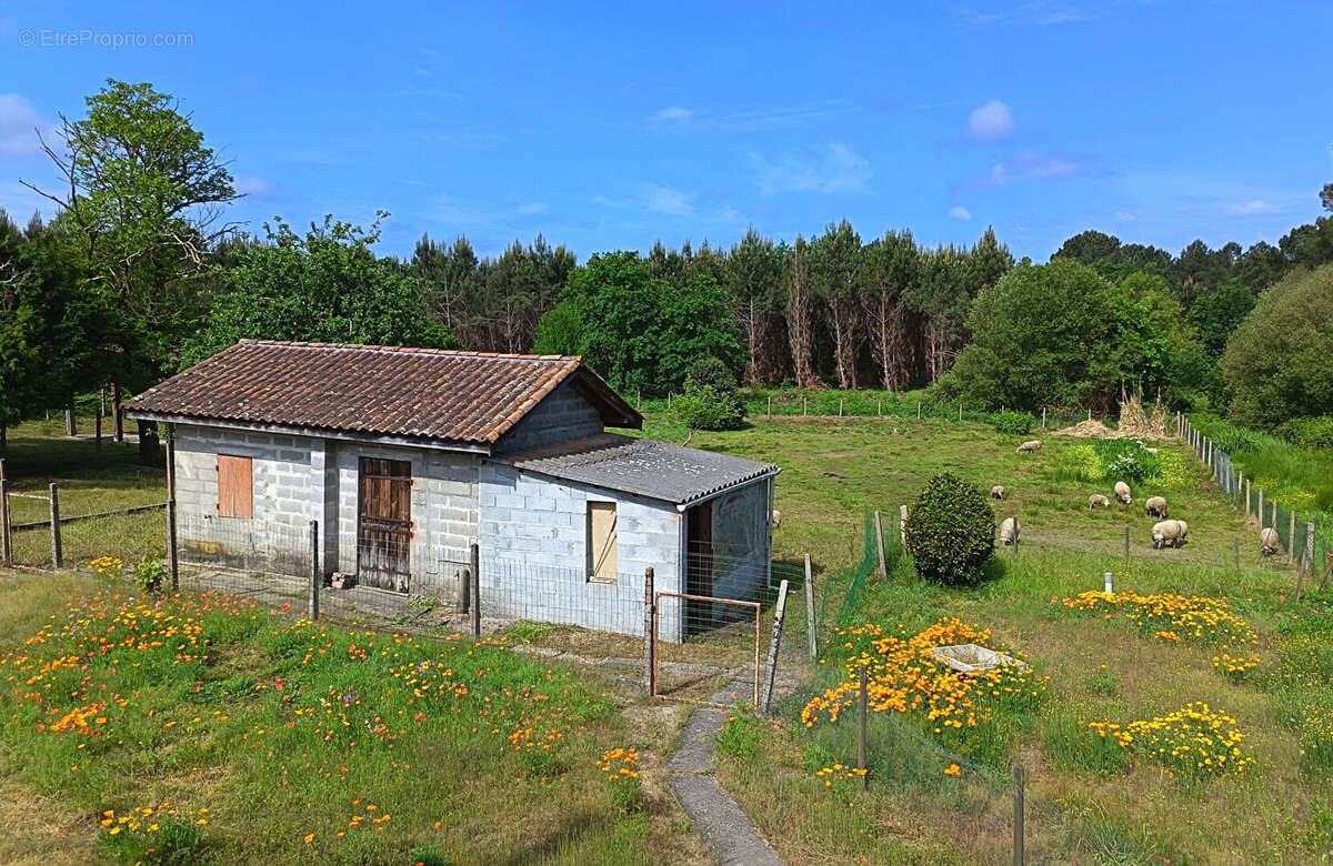 LANDES ATLANTIQUE - Vaste maison & jardin paysager - Rare opportunité - photo 15
