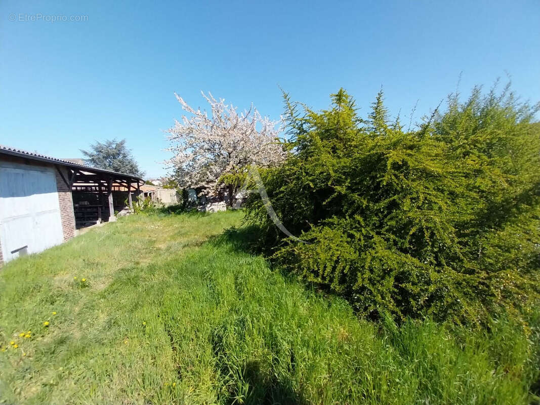 Terrain à LES MUREAUX