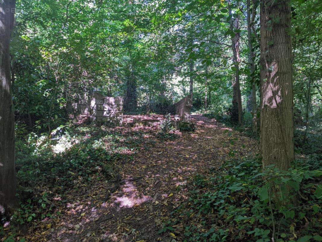 Terrain à LES ESSARTS-LE-ROI