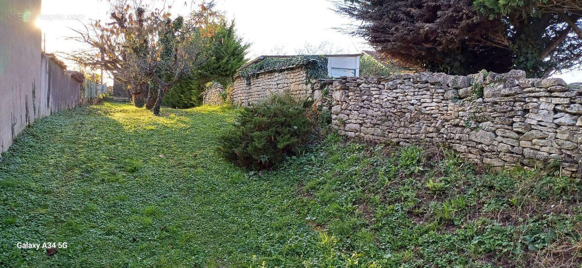 Jardin non attenant maison ARGENTENAY - Maison à ARGENTENAY