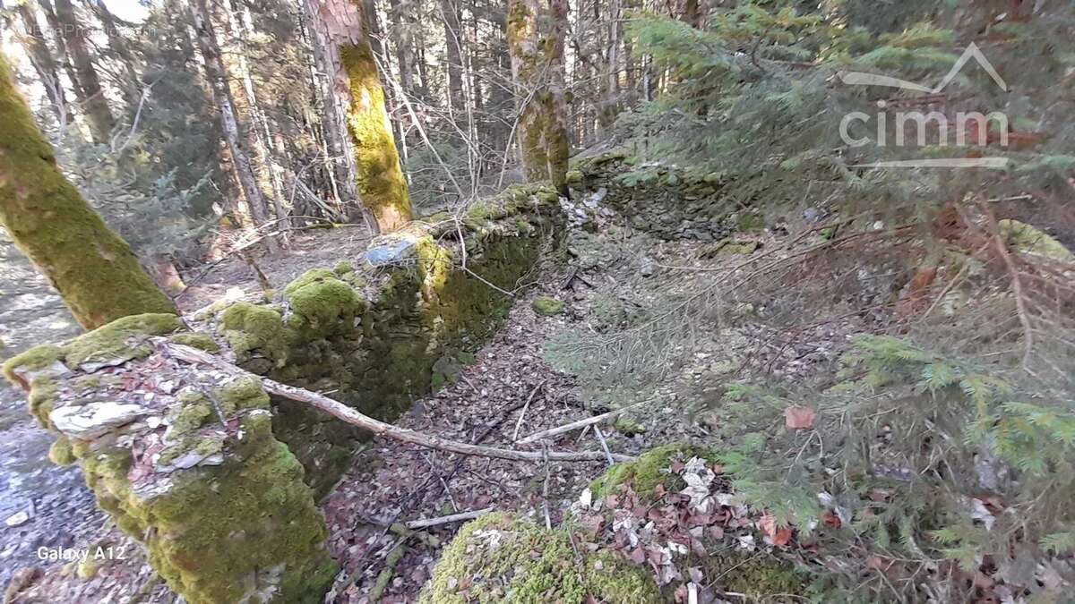 Terrain à MONTENDRY